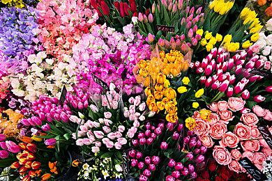 《马里奥赛车8：豪华版》DLC第二弹赛道对比视频